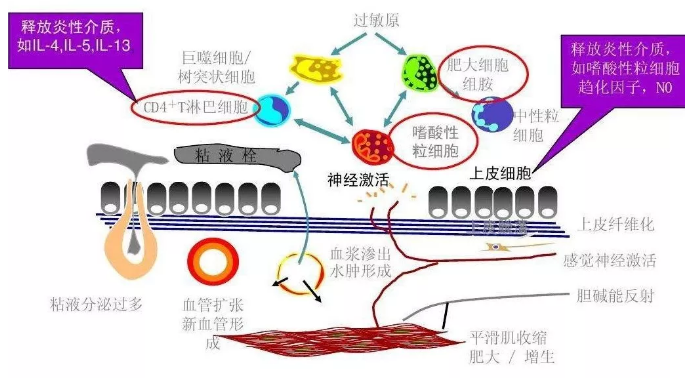 微信图片_20180719094847.png 微信图片_20180719094847.png