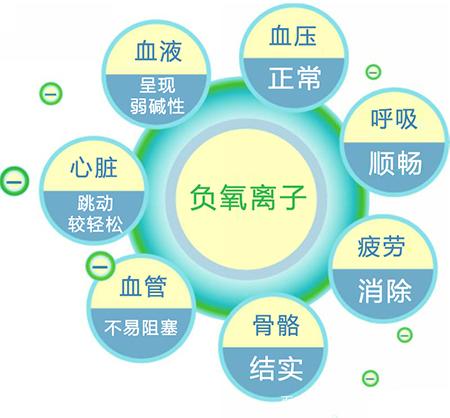 家有森林氧吧，让灵魂跟着一起深呼吸~