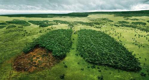 负氧离子氧疗法可有效防治慢性阻塞性肺病